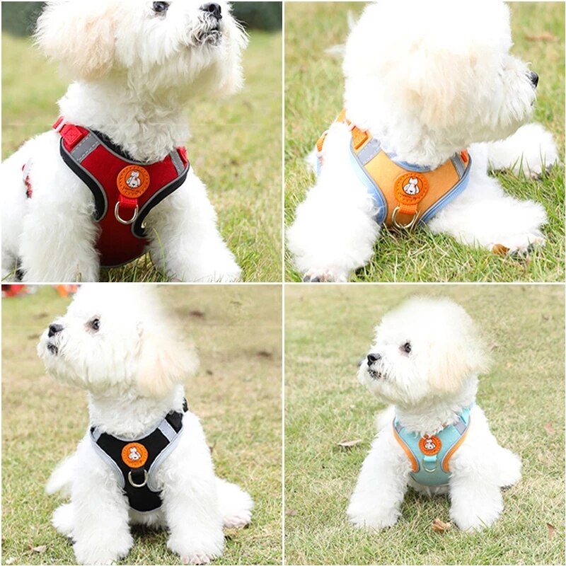 Lightning Bolt Small Dog Harness