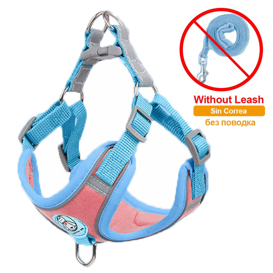 Lightning Bolt Small Dog Harness