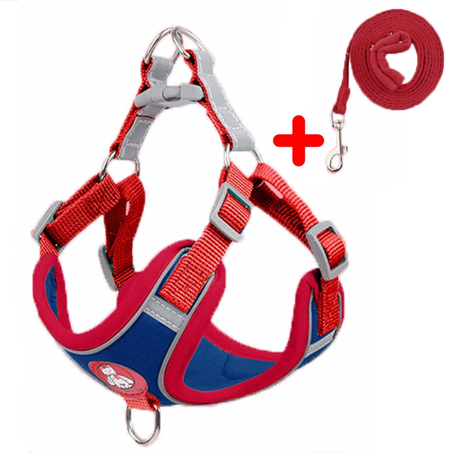 Lightning Bolt Small Dog Harness